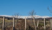 Tour Wandern Malbo - la garrigue - Photo 1