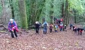 Excursión Senderismo Bar-sur-Seine - Bar chapelle 12,4km le 14/10/2020 - Photo 1