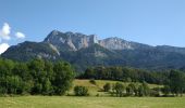 Trail Walking Montaud - BOUCLE MONTAUD DE T DE MOIRANS - Photo 1