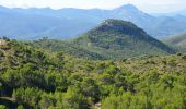 Trail Walking Pourrières - Mont Olympe - Rocher de Onze Heures - Photo 4