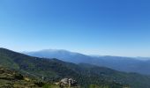 Tour Wandern Céret - pic des salines depuis fontfrede via coll del pou de la neu . pic des salines .coll des cirerers  . fontfrede - Photo 9