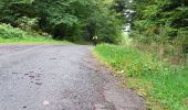 Tour Elektrofahrrad Saint-Clément - sortie vtt du 01102022 baccarat  - Photo 2