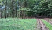 Trail Walking Fauvillers - Tintange 25,3 km - Photo 20