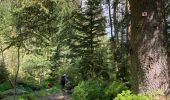 Tocht  Gérardmer - Bourrique, tour et cascade de Merelle - Photo 10