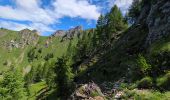 Randonnée Marche Selva di Cadore - Pian Di Possoliva - Photo 10