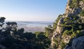 Tour Wandern Toulon - Le faron..solo - Photo 2