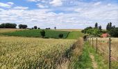 Excursión Senderismo Incourt - Promenade du moulin  - Photo 10