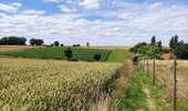 Tocht Stappen Incourt - Promenade du moulin  - Photo 10