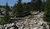 Trail Walking Glières-Val-de-Borne - BARGY: CENISE - ROCHERS DE LESCHAUX - SOLAISON - COL DE CENISE - Photo 1