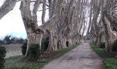 Tour Wandern Sarrians - sarrians 84 l epine les grones  verclos - Photo 1