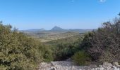 Trail Walking Viols-le-Fort - viols le fort,  les cazarils - Photo 3