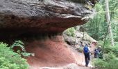 Tocht Stappen Münchweiler an der Rodalb - Pirmasens - Felsenwald - Photo 12