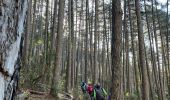 Tocht Stappen Vallon-Pont-d'Arc - Chames - Vallon de Tiourre - Photo 4