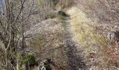 Trail Walking Aurel - 26 aurel col de la grave rimon - Photo 4