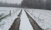 Tour Wandern Jemeppe-sur-Sambre - Balade à Spy 14/01/21 - Photo 2