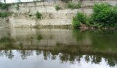 Randonnée Marche Mur-sur-Allier - Mezel Étang des plançons - Photo 2