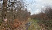 Trail  Coiffy-le-Haut - Trace pour parc animalier la bannie - Photo 9