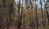 Tour Wandern Saint-Hubert - Awenne (Saint-Hubert)  - Photo 1