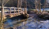 Excursión Senderismo Stoumont - Promenade au départ de Moulin du Ruy  - Photo 3