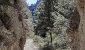 Trail Walking Cheval-Blanc - gorge regalon Claudine Dan - Photo 19