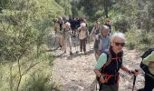 Trail Walking Cheval-Blanc - PF-Cheval-Blanc - La Roquette - Le Trou du Rat - MDu - Photo 3
