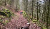 Tour Wandern Le Tholy - Sentier de la Roche Au Blaireau depuis le gîte  - Photo 2