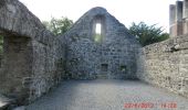 Randonnée A pied Claremorris-Swinford Municipal District - Cong Nature Trail - Photo 3