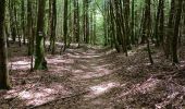 Trail Walking Raon-aux-Bois - circuit parcours raon aux bois chalet de bennevise - Photo 4