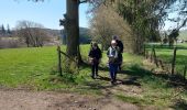 Tocht Stappen Houffalize - houffalize - Photo 2