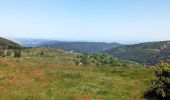 Tour Reiten Mollkirch - 2023-05-28 Picnic CVA Cabane des 5 routes - Photo 2