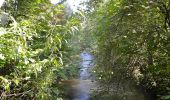 Tour Zu Fuß Greifensee - Greifensee - Maur Schifflände - Photo 2