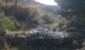 Tour Wandern Marseille - mont carpiagne - Photo 1