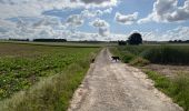 Tocht Stappen Saint-Riquier - St riquier-maison roland  - Photo 6