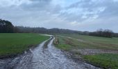 Tocht Stappen Anhée - Bioul 29,7 km - Photo 2