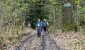 Percorso Marcia Houyet - Celles pvl - Photo 8