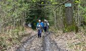 Excursión Senderismo Houyet - Celles pvl - Photo 8