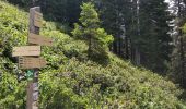 Tour Wandern Arâches-la-Frasse - Les Carroz tête des Saix boucle - Photo 17