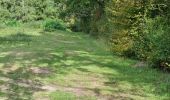 Randonnée Marche Fréteval - Fréteval - Etang Champs Bois Donjon - Photo 16
