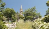 Trail Walking Montjoyer - Montjoyer-Chapelle St Pierre 9km. - Photo 2