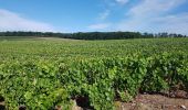 Randonnée Marche Essômes-sur-Marne - Essomes ADR du 18/08/2020 - Photo 1