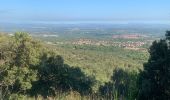 Tour Wandern Laroque-des-Albères - RP66 LAROQUE VALLÉE HEUREUSE SOREDE.  - Photo 6