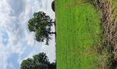 Trail Walking Tinlot - boucle sur Seny et Warzée - Photo 3