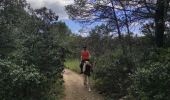 Trail Horseback riding Orthoux-Sérignac-Quilhan - mas bas - corconnes en boucle - Photo 7