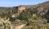 Tour Wandern Castelnou - 20210328 Castelnou-Camelas- boucl - Photo 1