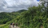 Tocht Stappen Ribeauvillé - Ribeauvillé les 3 château  - Photo 1