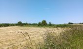 Randonnée Marche Villers-le-Bouillet - Vieux-Waleffe . Dreye . Pitet . Fallais . Vieux-Waleffe - Photo 5