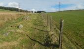 Randonnée A pied Unknown - The Crags Circular Path - Photo 2