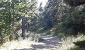 Trail Walking Embrun - rando suf le mpny guillaume montée par le torrent de Marthe  descentr par la route forestière de bois de  Vezin   - Photo 7