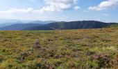 Trail Walking Le Valtin - Lac Vert - Lac du Forlet - Gazon du Faing - Photo 7