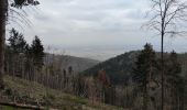 Excursión Bici de montaña Fréland - Fréland - Hunawihr - Photo 1